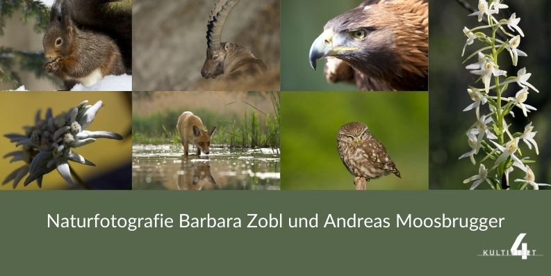 You are currently viewing Ausstellung BARBARA ZOBL und ANDREAS MOOSBRUGGER